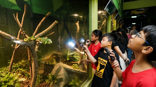 Zoo_Negara（ズーネガラ）で楽しむ1泊2日キャンプ体験